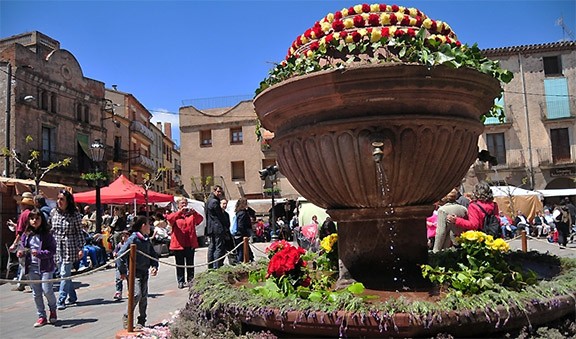 Festa de la Farigola