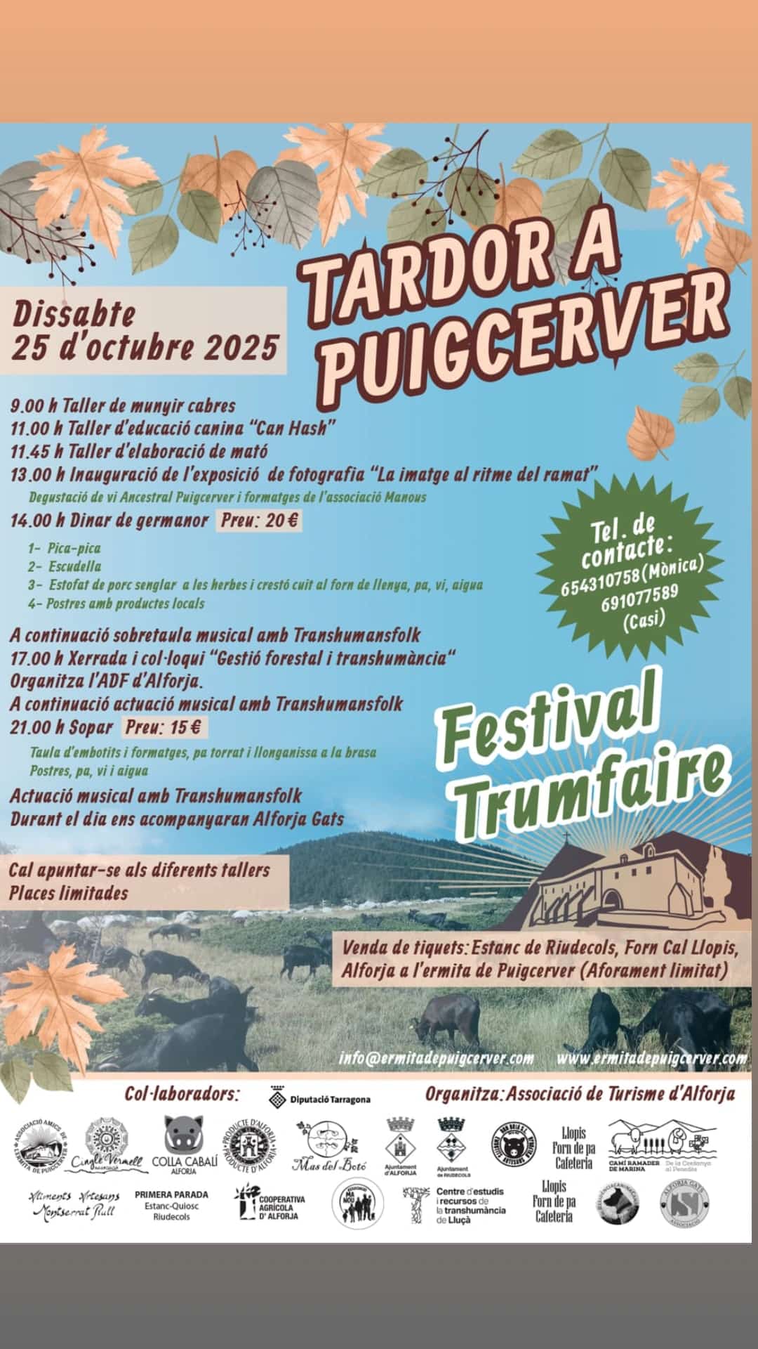 Tardor a Puigcerver; Festival trumfaire