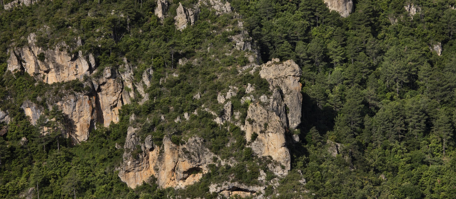 LA CAPÇALERA DEL RIU SIURANA