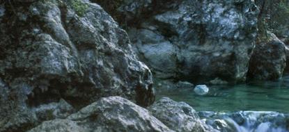 QUATRE PAISATGES I UN CAMÍ —6 dies—
