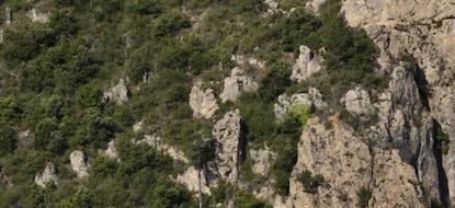 THE HEADWATERS OF THE RIVER SIURANA